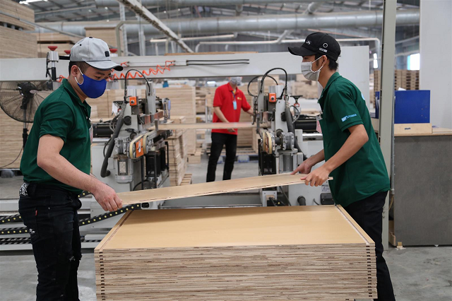 A Compelling Apology: TTF Clarifies the Unfortunate $23 Million Tax Enforcement