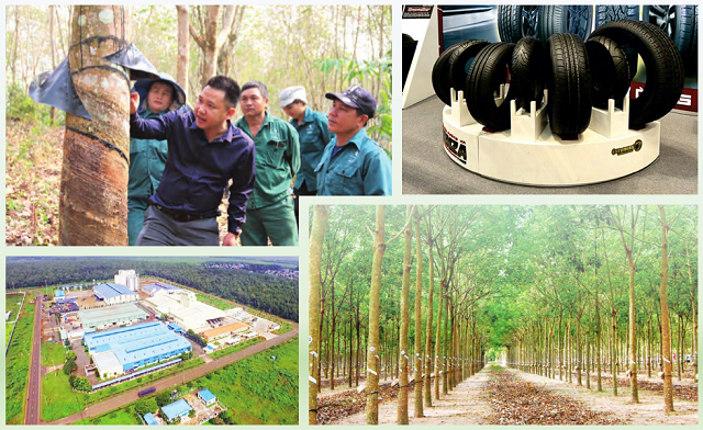 A Bleak Outlook for Big Players in the Rubber Industry: Quarter 1 Woes