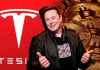 Tesla Motors, The Dogecoin Update