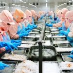 Minh Phu Seafood reports a 34% drop in Q1/2024 profit