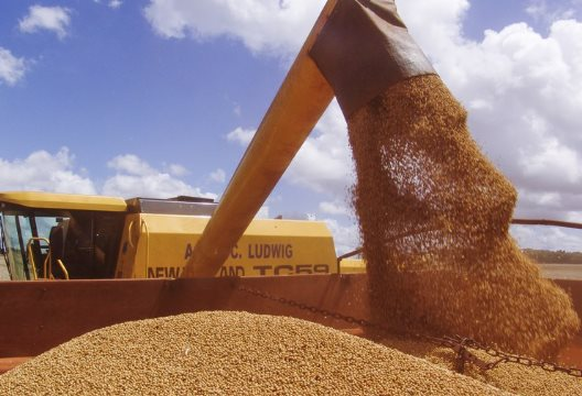 The Green Revolution: Unveiling the Treasure Trove of Affordable Agricultural Gems.