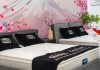 The Master Craftsman of Sleep: Unveiling the Rita Vo Group’s Sen and Sakura Mattress Collections