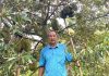 The Ultimate Durian Discovery: A Tasty Treat from Ben Tre’s Farmers