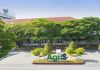 Revolutionizing the Green Business Strategy: How TTC AgriS Leadership Restructures Investment Portfolios and Optimizes Green Finances