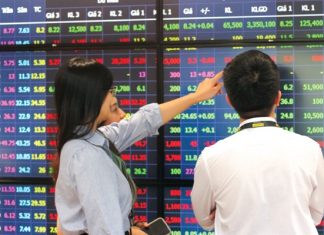 What Impact Do Macro Factors Have on the Stock Market?