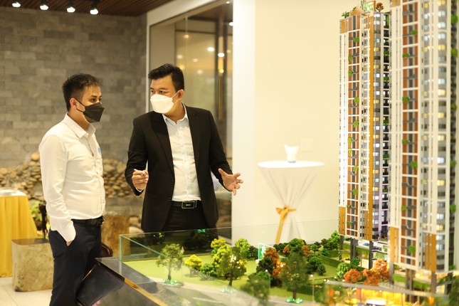 The Rising Tide: How New Land Prices are Impacting Apartment and Land Values