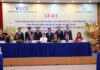 Empowering Digital Enterprises: Expanding Horizons for Vietnam’s Tech Sector