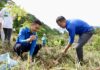 “Vietnam Airlines Launches Campaign to Restore 50 Hectares of Forest”