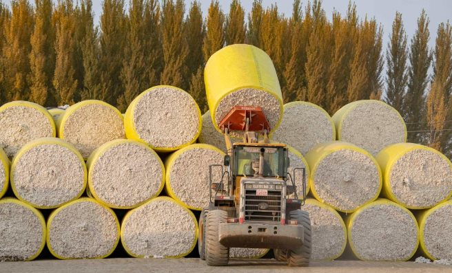 ‘White Gold’ from Pakistan Continues to Flood Vietnam: Imports Surge Over 3,000%, with Millions of Tons Consumed Annually