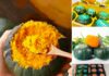 The Ultimate Guide to the World’s Tastiest Pumpkin: A Chinese Delicacy Taking Over Online Markets