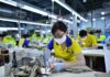 “Boosting Productivity to Increase Income for Garment Workers”