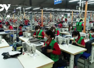 Dr Cong Pham, Deakin University (Australia): Vietnam’s Market Economy