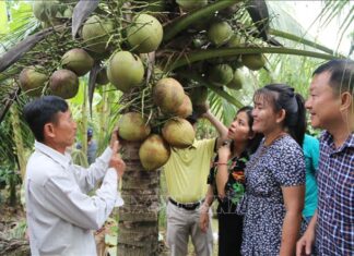 9 Coconut Plantations Prepared for Global Export