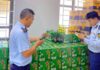Seizing Nearly 3,000 Illegally Imported Heineken and Corona Beer Bottles