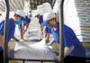 Vietnamese Rice Exports: Commanding a Premium, Leading the Global Market