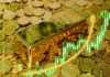 What’s Next for Gold Prices After the Strongest Week of the Year?