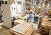 Positive Signals for Vietnamese Timber Exports