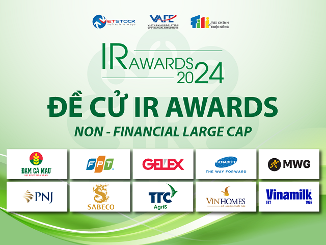 10 Non-Financial Large-Cap Companies Nominated for IR Awards 2024