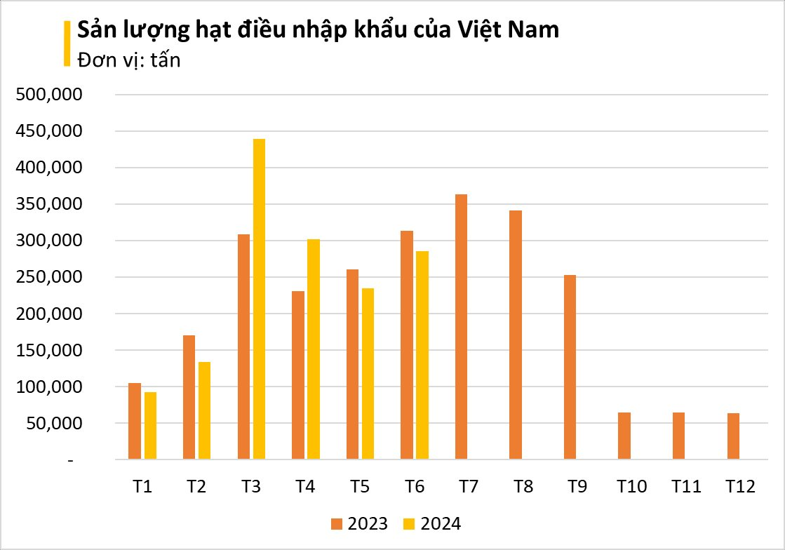 The Ultimate Savior: How Cambodian and African Imports are Propelling Vietnam’s Dominance in the Industry.