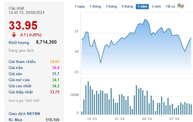 The Capital Race in the Securities Industry Heats Up: SSI to Boost Chartered Capital to Over VND 19,600 Billion, Retaking the “Crown” from VNDirect