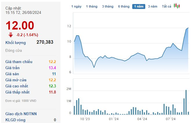 The Ambitious New CEO: A Bold Vision for the Future of the Company