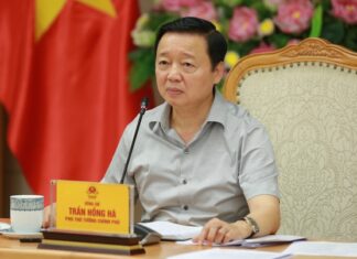 The Race to Develop the Carbon Market: A Game of Speed and Strategy