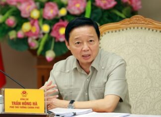 The Vice Premier: Unraveling the Intricacies of Domestic and Global Carbon Market Dynamics