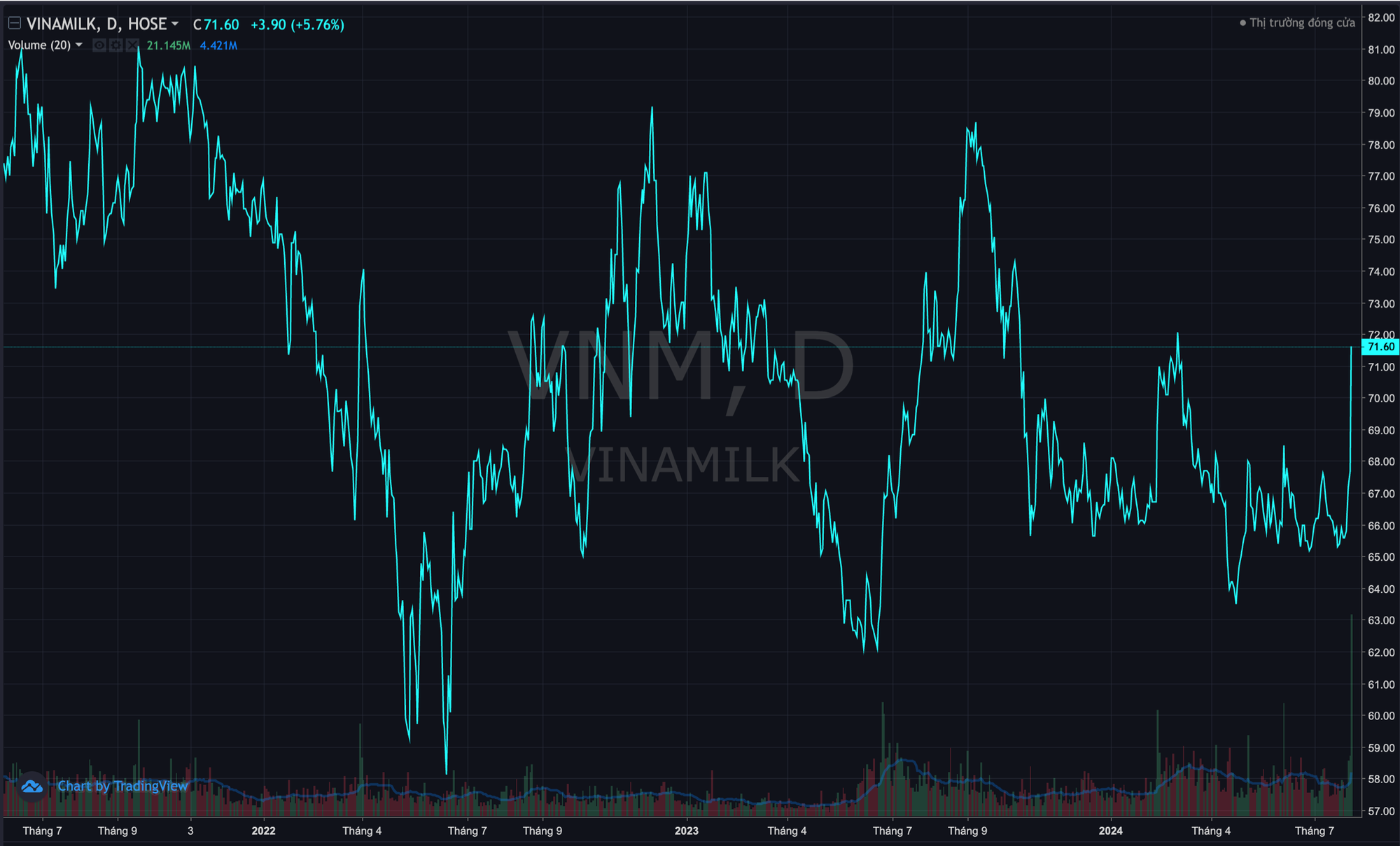 The Rise of the Vinamilk Giant: A Historic Surge