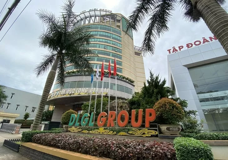 Why the Court Didn’t Initiate Bankruptcy Proceedings Against the Billion-Dollar Corporation, Duc Long Gia Lai?