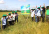 Drone Technology Takes Center Stage: DPM’s Innovative Approach to Fertilizing Rice Fields with Phu My Drone Technology