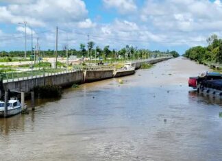 The $3.5 Million Coastal Defense Project: Eroded After Just 5 Months