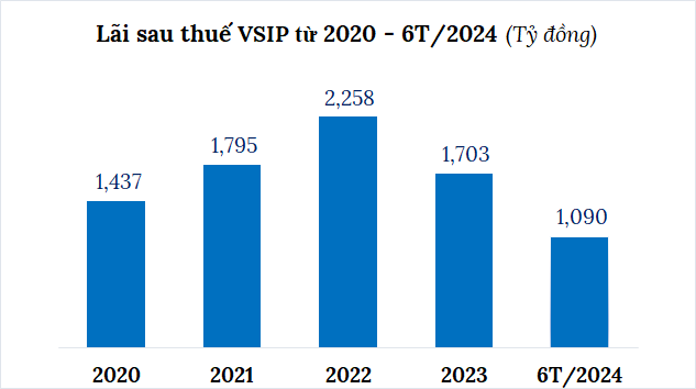 VSIP Profits Soar Past $1 Billion in H1 2024