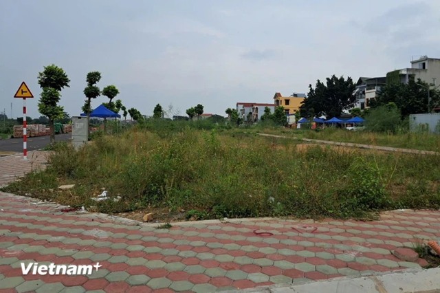 The Curious Case of Land Auctions on the Outskirts of Hanoi: A Preliminary Report by the Ministry of Natural Resources and Environment.