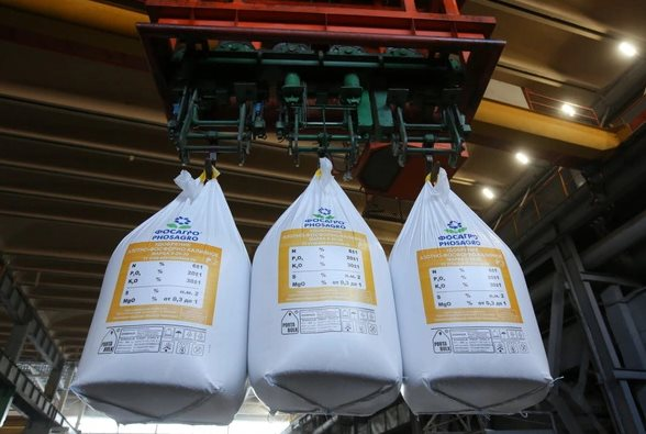 The Great Japanese Demand: Vietnam’s Exports Surge by Over 400%