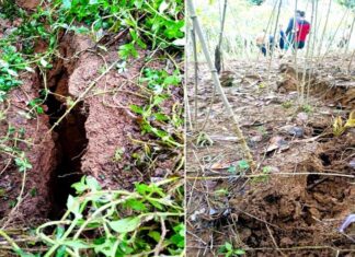 Landslide Disaster Strikes Multiple Regions