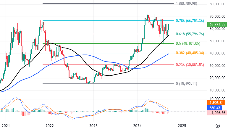 The Crypto Report Q4 2024 (Part 1): Eyes on the Long-Term Horizon