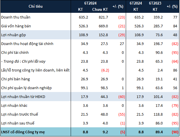 “DIG Loses Nearly VND 187 Billion in Revenue After 2024 Half-Year Audit”