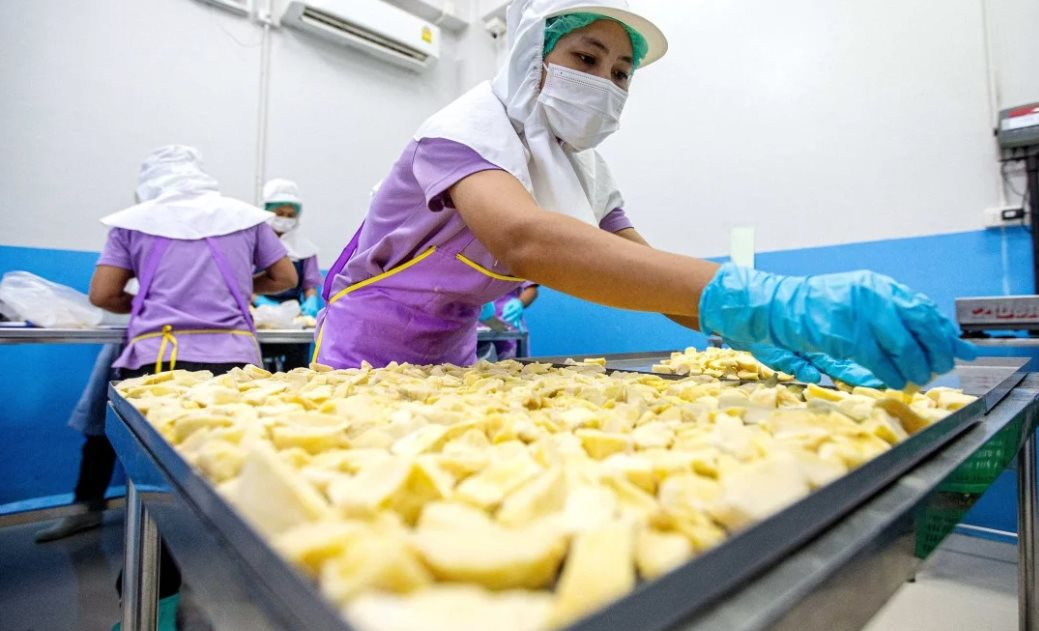 ‘Heaven-sent Delicacy’ of Southeast Asia: Vietnam and Thailand’s Endless Race – An Enticing Treat Once Exclusive to These Shores, Now a Global Sensation.