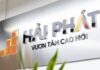 The Great Executive Shuffle at Hải Phát Investment
