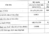 Raising ‘Massive’ Capital for Our City Hai Phong Project, Saigon Capital Reports Semi-Annual Profit of Over VND 4 Billion in 2024