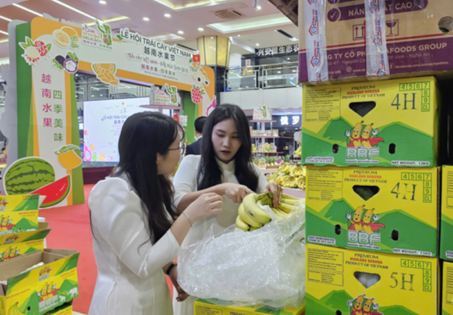 A Tasty Treat: Celebrating the Best of Vietnam’s Fruits in China