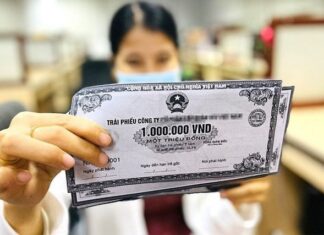 The Perplexing Puzzle of Corporate Bond Investment for Individual Investors