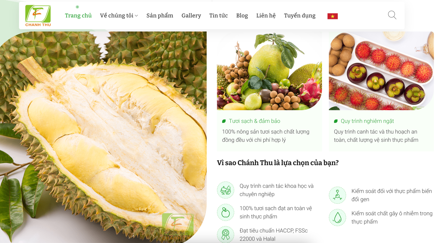 The Millionaire’s First Love: A Tale of Childhood Trials to Triumph in International Markets