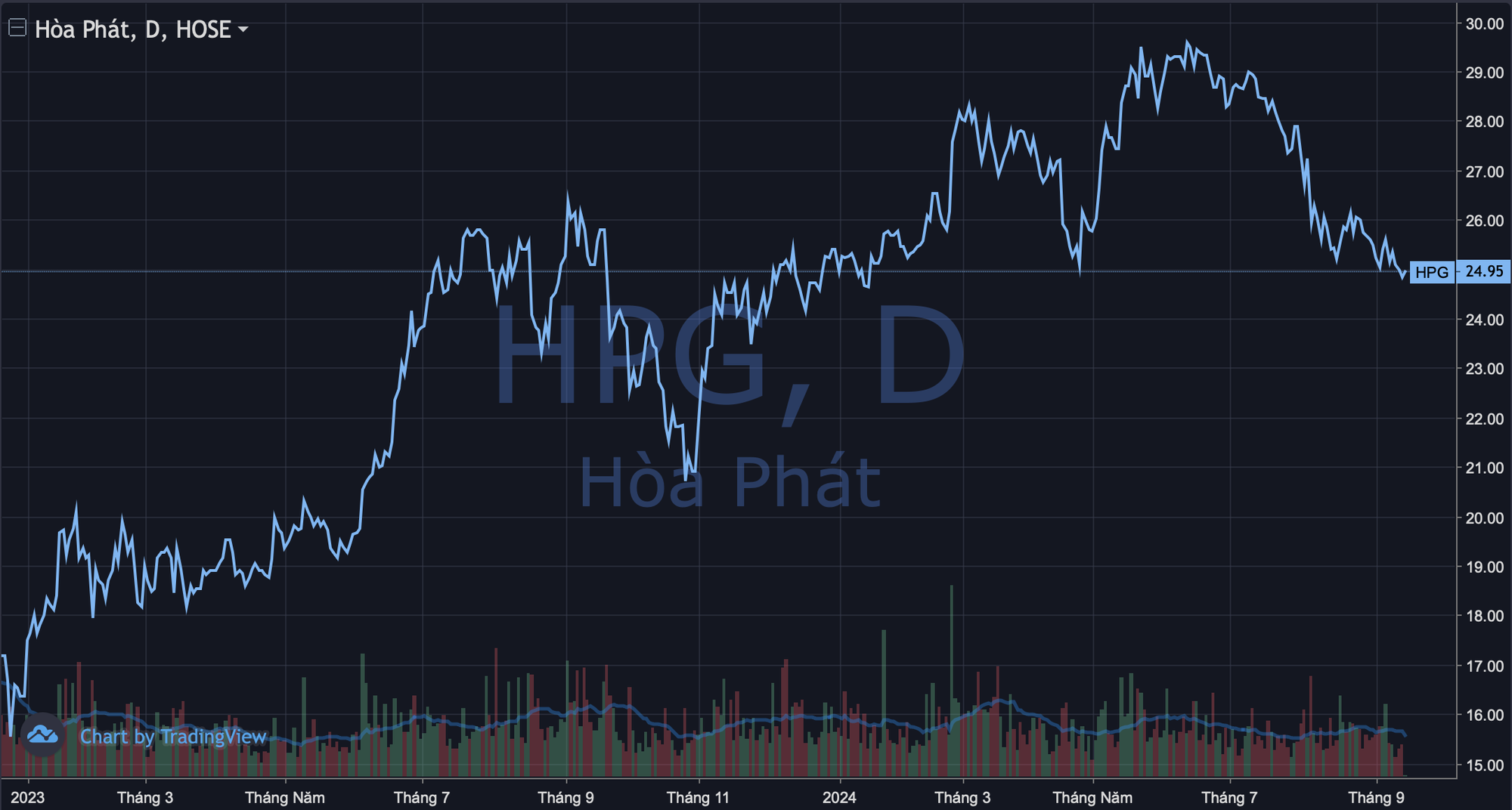 Steelmaker Hoa Phat Group’s Stock Plunges to an Eight-Month Low: What’s Going On?