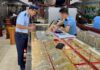 The Golden City’s Glittering Haul: Ho Chi Minh City Seizes Mysterious Gold and Jewelry