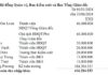 The Fall of a Giant: Unraveling the Shocking Pre-Arrest Losses of Vietnam’s Once-Dominant Real Estate Firm, Quốc Cường Gia Lai, and the Enigma of Nguyễn Thị Như Loan’s Financial Affairs