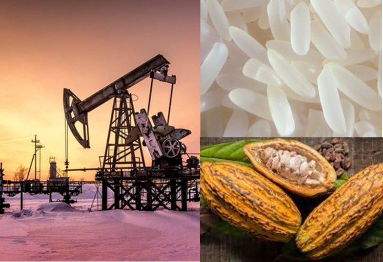 The Ultimate Guide to Financial Freedom: Unlocking the Power of the Bean