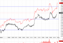 The Stock Market Buzz: Euphoria Starts to Build