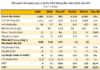 The Biggest Cassava Starch Manufacturer in Vietnam Experiences a 90% Profit Drop in Q3/2024: What’s the Reason Behind This Alarming Decline?