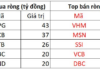 Foreign Sell-Off Continues in Session 6/11: Over 450 Billion Dong Liquidated, Which Stocks Took the Biggest Hit?